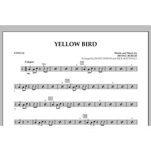 Yellow Bird - Congas