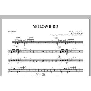 Yellow Bird - Drum Set