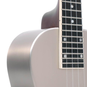 Gold Tone Resouke Concert