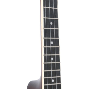 Gold Tone Resouke Concert