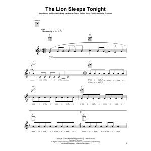 The Lion Sleeps Tonight
