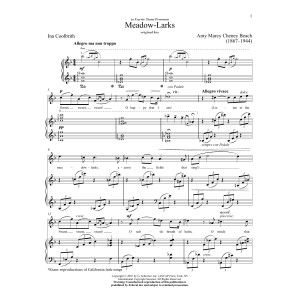 Meadow-Larks