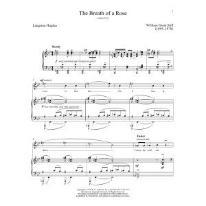 The Breath Of A Rose