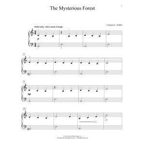 The Mysterious Forest