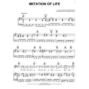 Imitation Of Life
