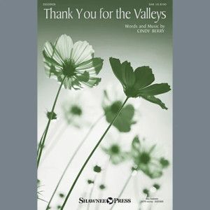 Thank You For The Valleys