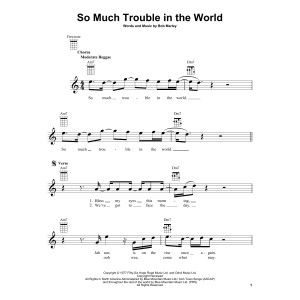 So Much Trouble In The World