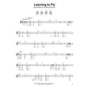 Learning To Fly