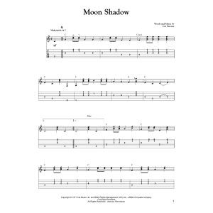Moon Shadow