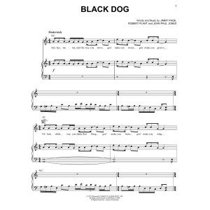 Black Dog