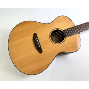 Breedlove Discovery Concert 2016 Natural