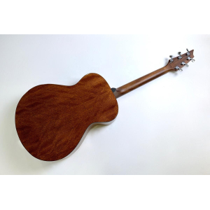 Breedlove Discovery Concert 2016 Natural