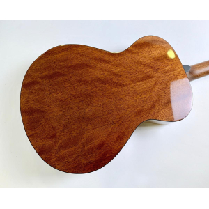 Breedlove Discovery Concert 2016 Natural