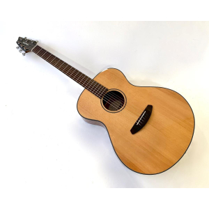 Breedlove Discovery Concert 2016 Natural