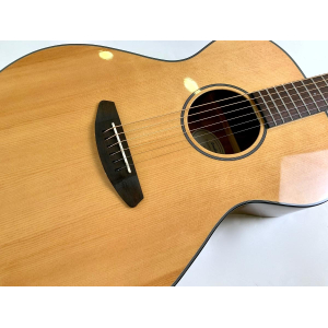 Breedlove Discovery Concert 2016 Natural