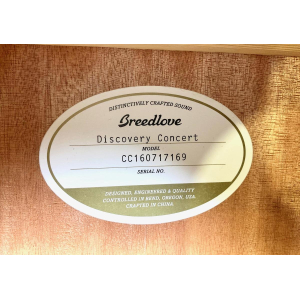 Breedlove Discovery Concert 2016 Natural