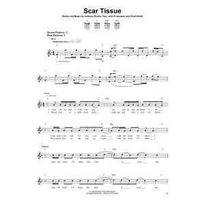 Scar Tissue