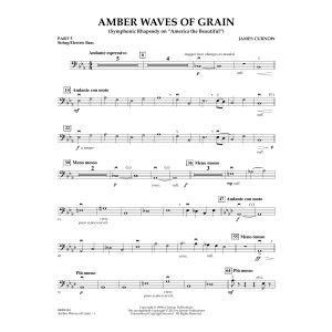 Amber Waves of Grain - Teil 5 - Streicher/E-Bass
