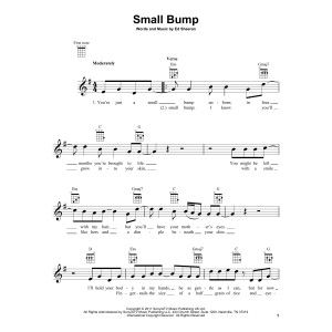 Small Bump