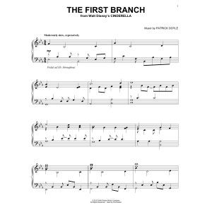 The First Branch