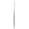 Trevor James Flute Cantabile 31cv-rx