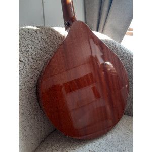 Bouzouki irlandais