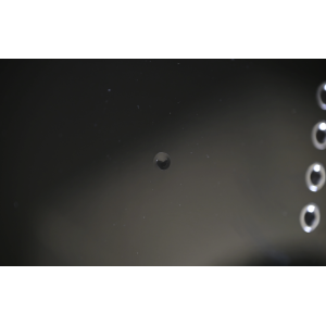 Marcus Miller P5 Alder4 BK