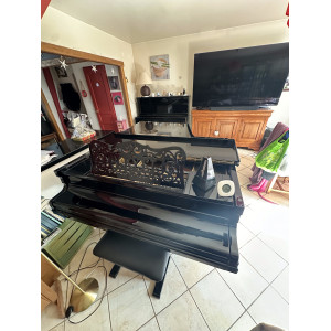 Pleyel ¾ de queue n⁰2 - 1905 (2m26)