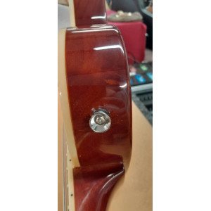 Stagg Sel-std Gold