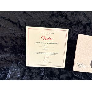 Fender Telecaster Deluxe Troublemaker Parallel Universe Volume II 2020 Olympic White