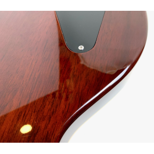 Hamer XT Series Monaco P-90 Goldtop 2011