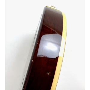 Hamer XT Series Monaco P-90 Goldtop 2011