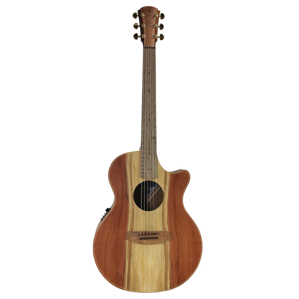 Cole Clark Guitare An2ec, Etui