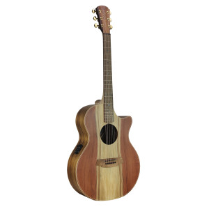 Cole Clark Guitare An2ec, Etui