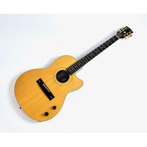 Gibson Chet Atkins SST 1991 Natural