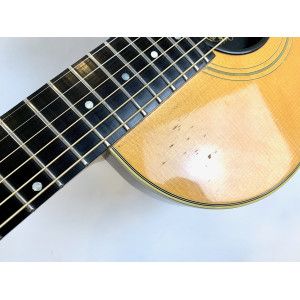 Gibson Chet Atkins SST 1991 Natural