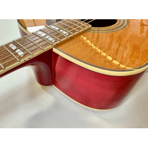 Epiphone Dove 2010 Natural