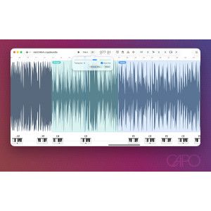 Smugsoftware Capo Pro 4