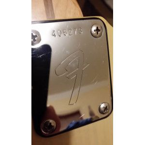 Fender Telecaster 1973