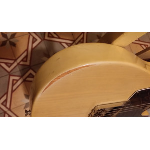 Fender Telecaster 1973