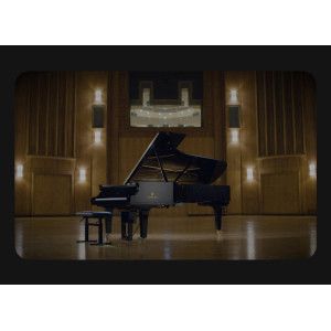 Logiciel cfx yamaha full library je vends la librairie VST Yamaha CFX (VSL Synchron CFX), piano de concert haut de gamme. logici