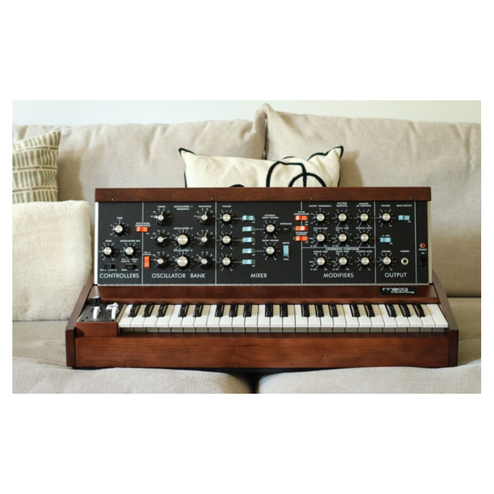 MOOG Minimoog Model D 2023 neuf + case
