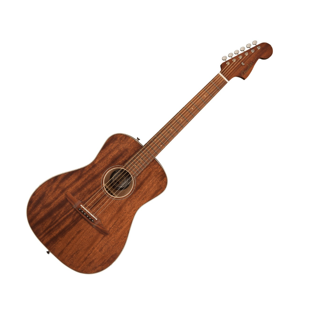 Fender Malibu Special (prix à discuter)