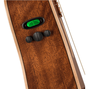 Fender Malibu Special (prix à discuter)