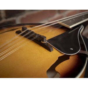Oqan Qman-10 Sb Sunburst