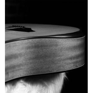 Oqan Qga-100 Ce Solid Natural (preamp)