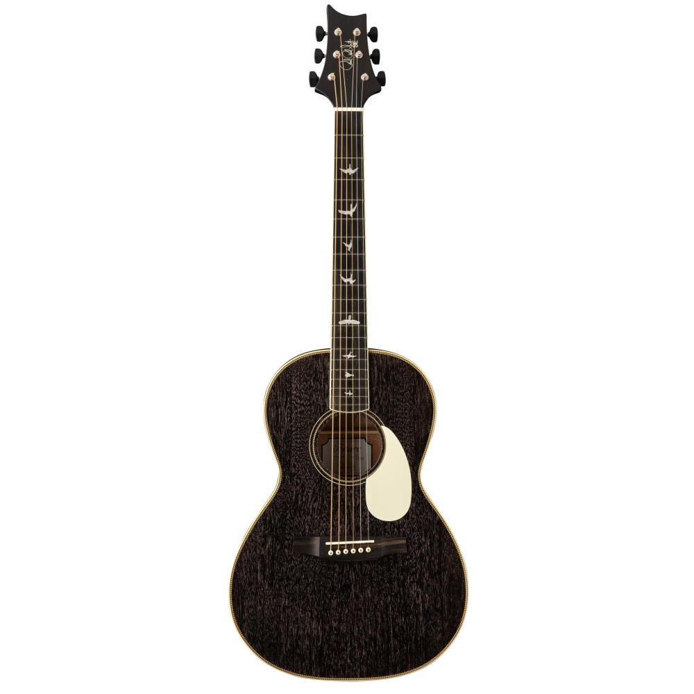 Prs Guitars Se Parlor 20 Piezo Dg Dog Hair
