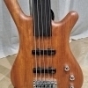 Warwick Fretless 5-String Bass Guitar