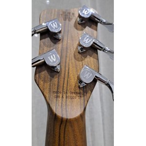 Warwick Fretless 5-String Bass Guitar