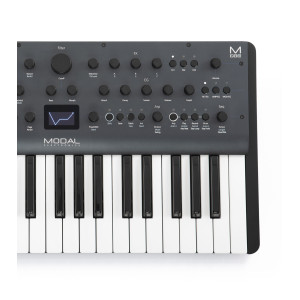 Modal Electronics Argon8 (37 teclas)